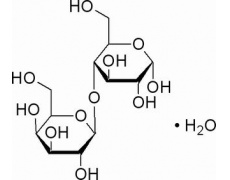 碳水化合物類