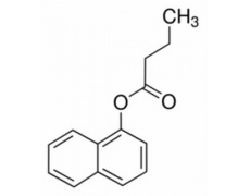 植物激素及核酸類