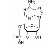 植物激素及核酸類(lèi)