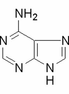 植物激素及核酸類(lèi)