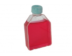 細(xì)胞粉末培養(yǎng)基