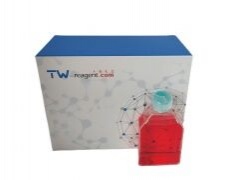 其他細(xì)胞系