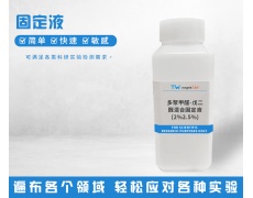 固定液