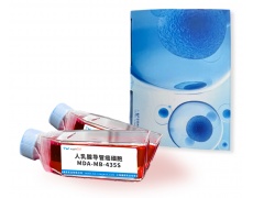 細(xì)胞系專用培養(yǎng)基