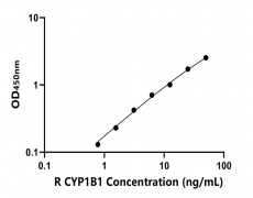 大鼠 Elisa試劑盒