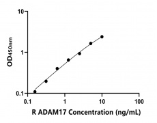 大鼠 Elisa試劑盒