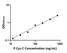 其他 Elisa試劑盒