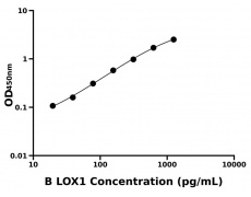 其他 Elisa試劑盒