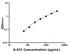 其他 Elisa試劑盒