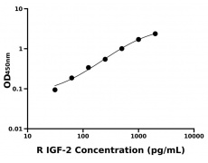 大鼠 Elisa試劑盒
