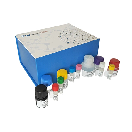 人ELISA試劑盒 人ELISA試劑盒