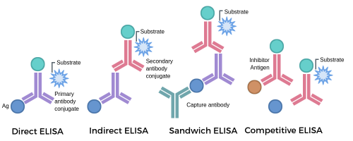 ELISA類型